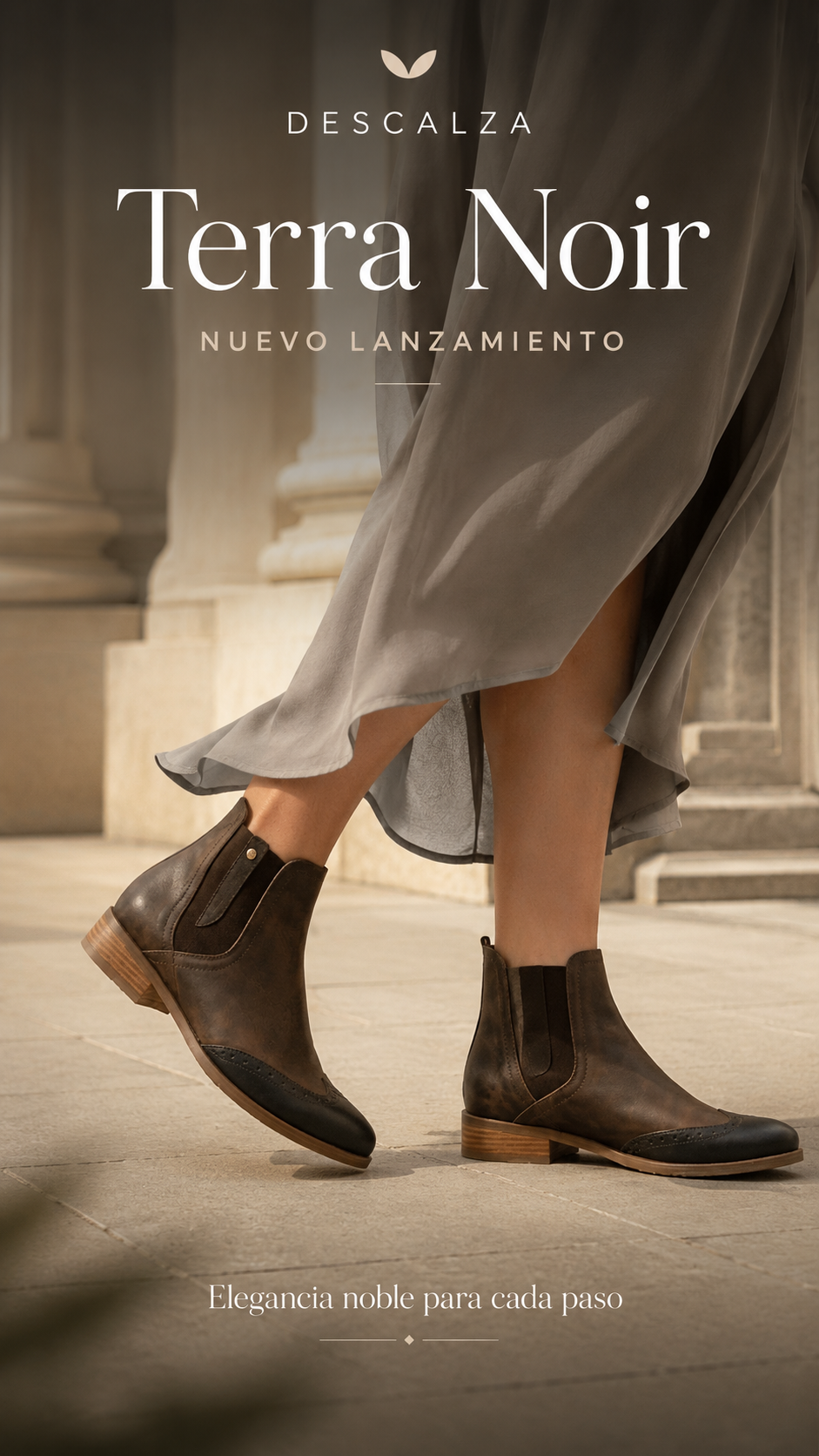 Botín Terra Noir